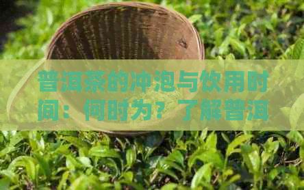 普洱茶的冲泡与饮用时间：何时为？了解普洱茶的饮用时机及注意事项