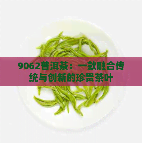 9062普洱茶：一款融合传统与创新的珍贵茶叶