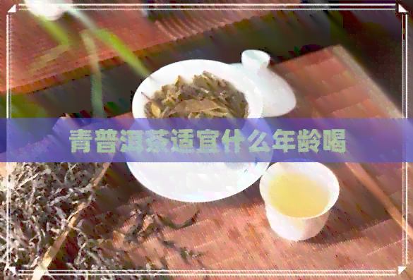 青普洱茶适宜什么年龄喝