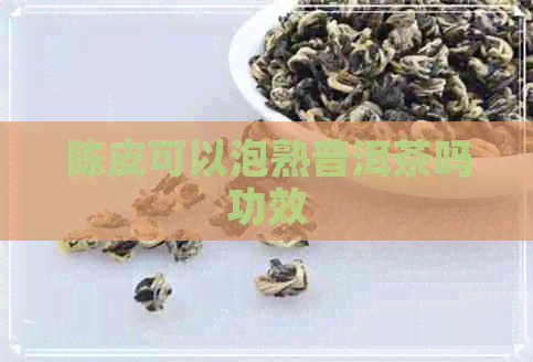 陈皮可以泡熟普洱茶吗功效