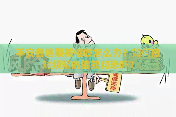 平安普逾期被怎么办？如何应对频繁的催款和？