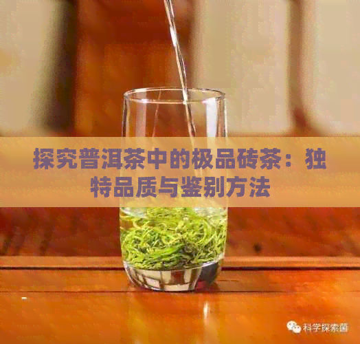 探究普洱茶中的极品砖茶：独特品质与鉴别方法