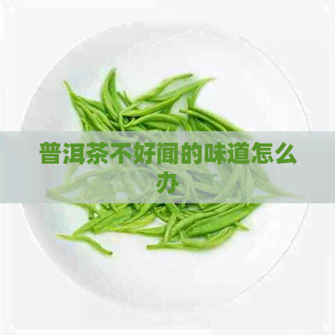 普洱茶不好闻的味道怎么办