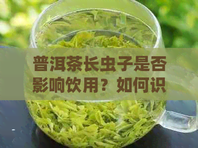 普洱茶长虫子是否影响饮用？如何识别与处理？为什么有些普洱茶不会长虫子？