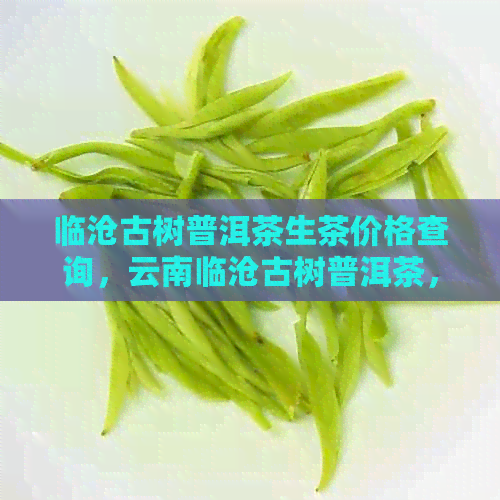 临沧古树普洱茶生茶价格查询，云南临沧古树普洱茶，云南临沧古树生茶