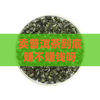 卖普洱茶到底赚不赚钱呀