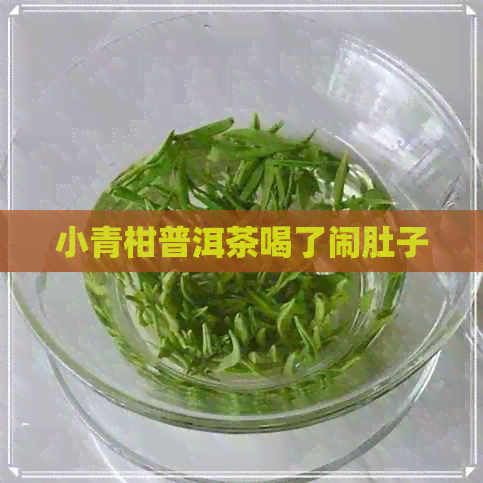 小青柑普洱茶喝了闹肚子