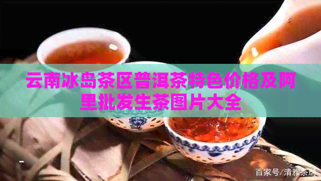 云南冰岛茶区普洱茶特色价格及阿里批发生茶图片大全