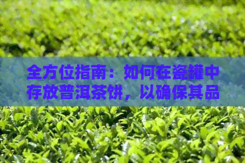 全方位指南：如何在瓷罐中存放普洱茶饼，以确保其品质与口感