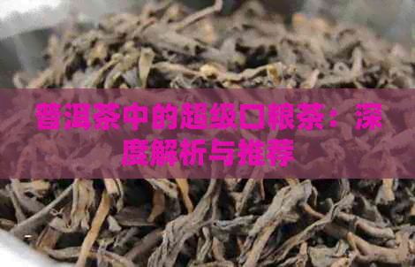 普洱茶中的超级口粮茶：深度解析与推荐