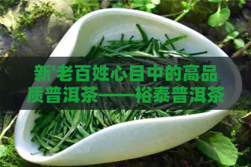 新'老百姓心目中的高品质普洱茶——裕泰普洱茶饼，一包多少钱？'