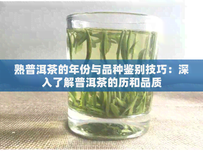 熟普洱茶的年份与品种鉴别技巧：深入了解普洱茶的历和品质