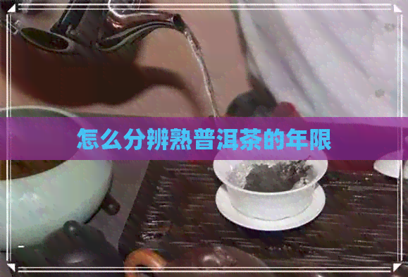 怎么分辨熟普洱茶的年限