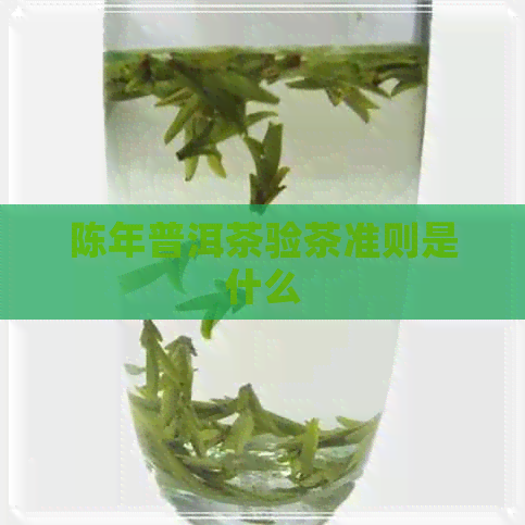 陈年普洱茶验茶准则是什么