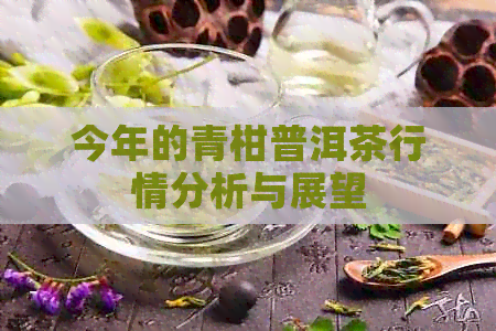 今年的青柑普洱茶行情分析与展望