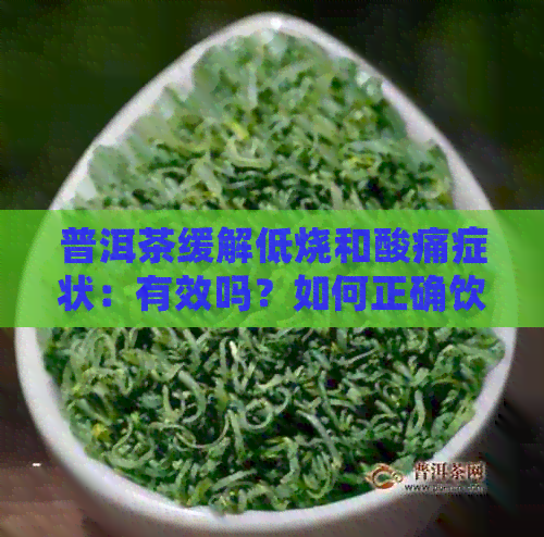 普洱茶缓解低烧和酸痛症状：有效吗？如何正确饮用？