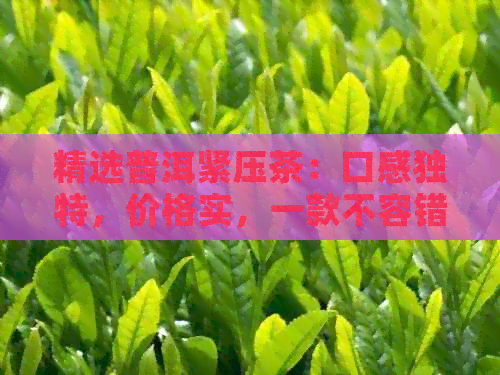 精选普洱紧压茶：口感独特，价格实，一款不容错过的熟茶收藏