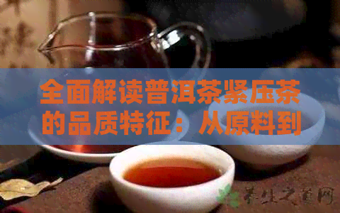 全面解读普洱茶紧压茶的品质特征：从原料到制作工艺的深度剖析