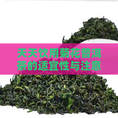 天天饮用菊花普洱茶的适宜性与注意事项，对女性的影响分析