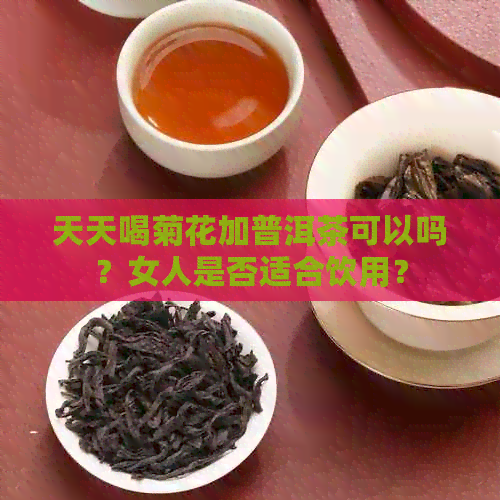 天天喝菊花加普洱茶可以吗？女人是否适合饮用？