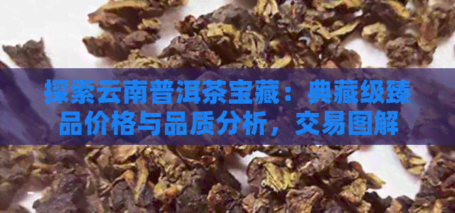 探索云南普洱茶宝藏：典藏级臻品价格与品质分析，交易图解