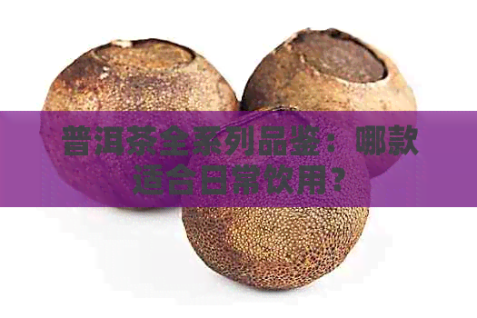 普洱茶全系列品鉴：哪款适合日常饮用？