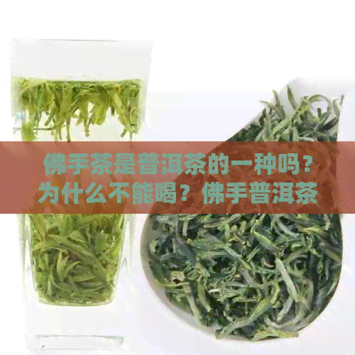 佛手茶是普洱茶的一种吗？为什么不能喝？佛手普洱茶的功效与作用及禁忌症。