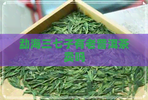 勐海三七子有老普洱茶卖吗