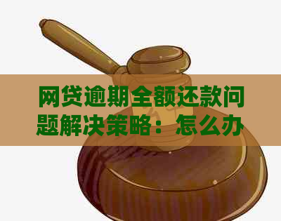 网贷逾期全额还款问题解决策略：怎么办才能避免全部损失？