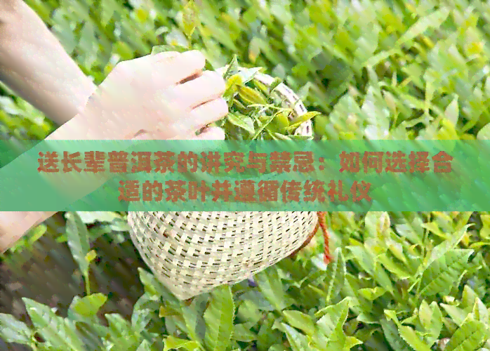 送长辈普洱茶的讲究与禁忌：如何选择合适的茶叶并遵循传统礼仪