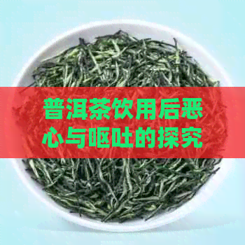 普洱茶饮用后恶心与呕吐的探究：可能的原因及其影响因素