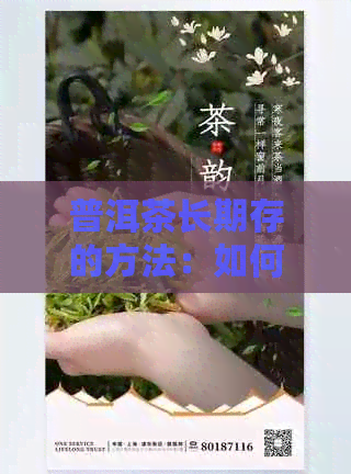 普洱茶长期存的方法：如何确保茶叶保持品质与风味？