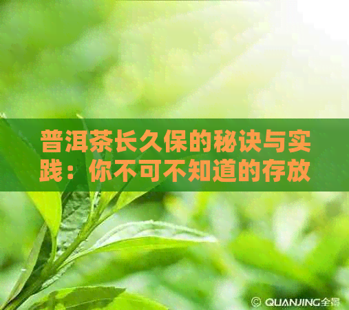 普洱茶长久保的秘诀与实践：你不可不知道的存放技巧