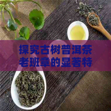 探究古树普洱茶老班章的显著特点及其对品质的影响