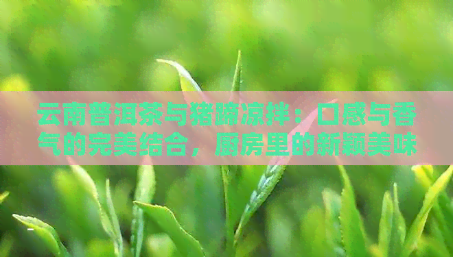 云南普洱茶与猪蹄凉拌：口感与香气的完美结合，厨房里的新颖美味