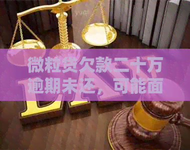 微粒贷欠款二十万逾期未还，可能面临的法律后果及应对策略