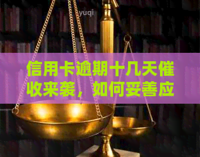 信用卡逾期十几天来袭，如何妥善应对并避免进一步损失？