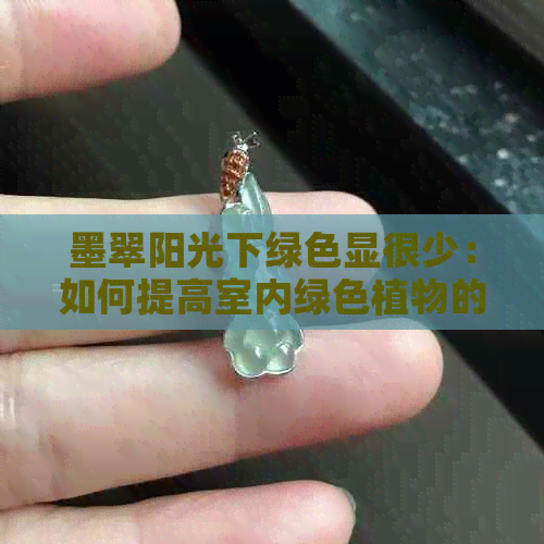 墨翠阳光下绿色显很少：如何提高室内绿色植物的生长效果？