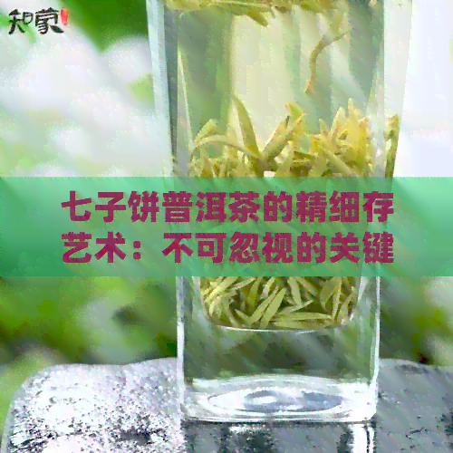 七子饼普洱茶的精细存艺术：不可忽视的关键因素与实用指南