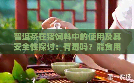 普洱茶在猪饲料中的使用及其安全性探讨：有吗？能食用吗？