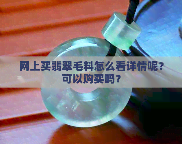 网上买翡翠毛料怎么看详情呢？可以购买吗？