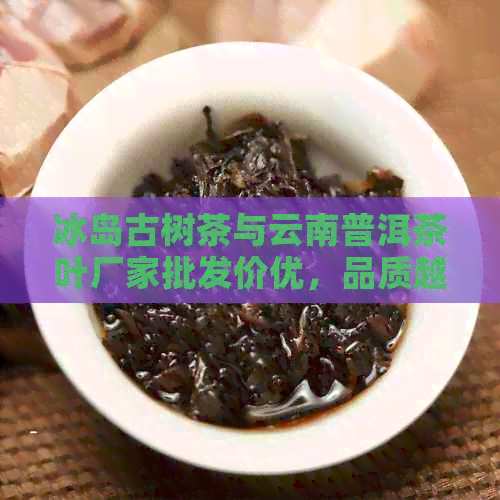 冰岛古树茶与云南普洱茶叶厂家批发价优，品质越，直供