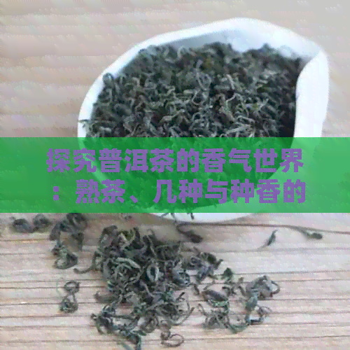 探究普洱茶的香气世界：熟茶、几种与种香的纯正之美