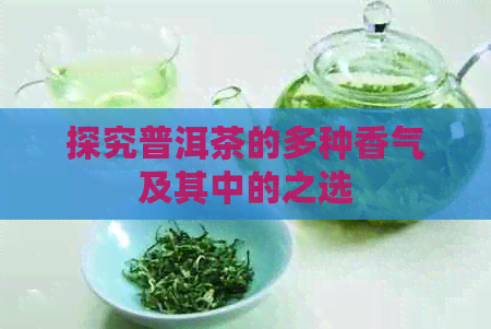 探究普洱茶的多种香气及其中的之选