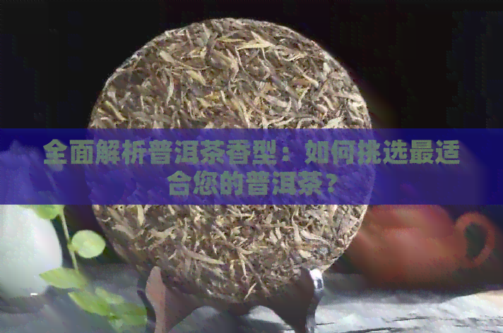 全面解析普洱茶香型：如何挑选最适合您的普洱茶？