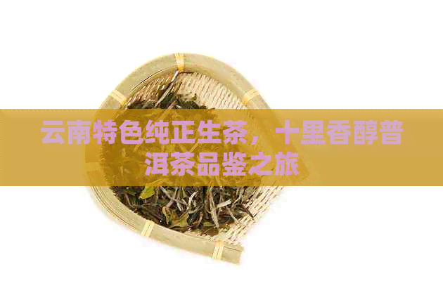 云南特色纯正生茶，十里香醇普洱茶品鉴之旅