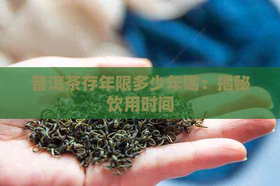 普洱茶存年限多少年喝：揭秘饮用时间