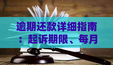 逾期还款详细指南：起诉期限、每月还款额及可能后果全面解析