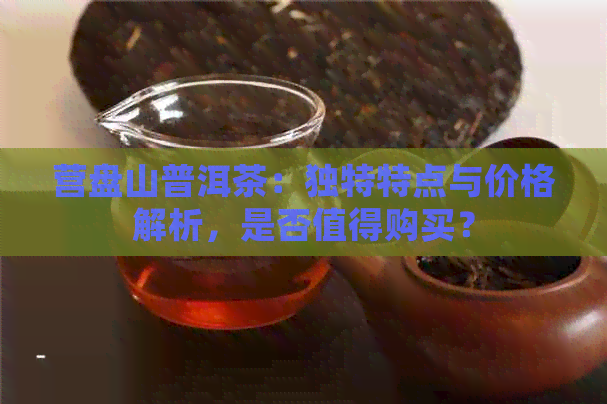 营盘山普洱茶：独特特点与价格解析，是否值得购买？