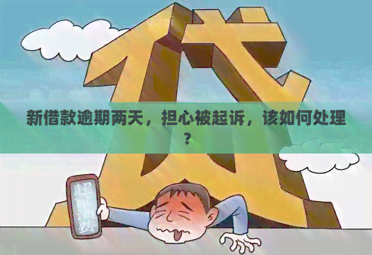 新借款逾期两天，担心被起诉，该如何处理？